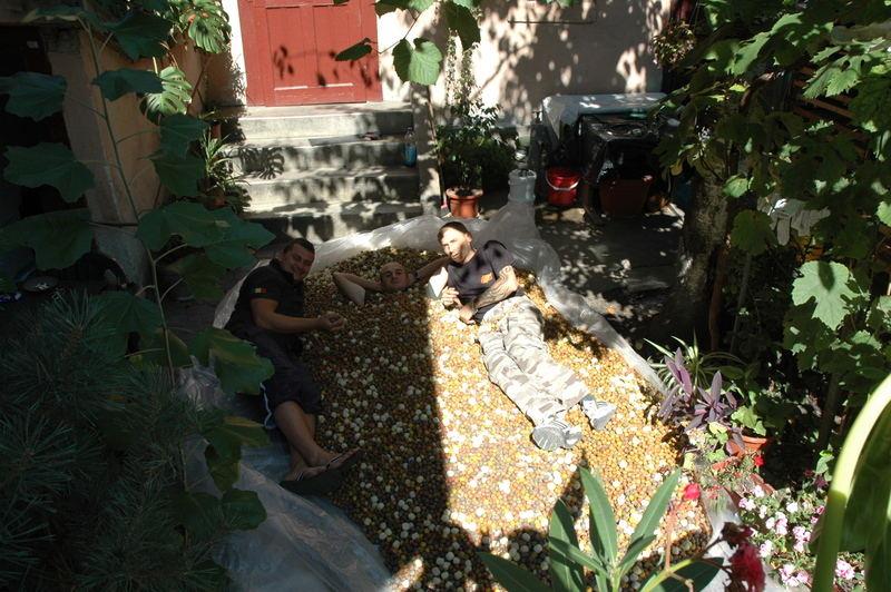 senzor peste tot - dsc7311.jpg